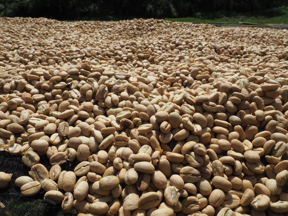 Rus qizlar kamming kompilyatsiya